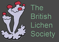 logo for British Lichen Society